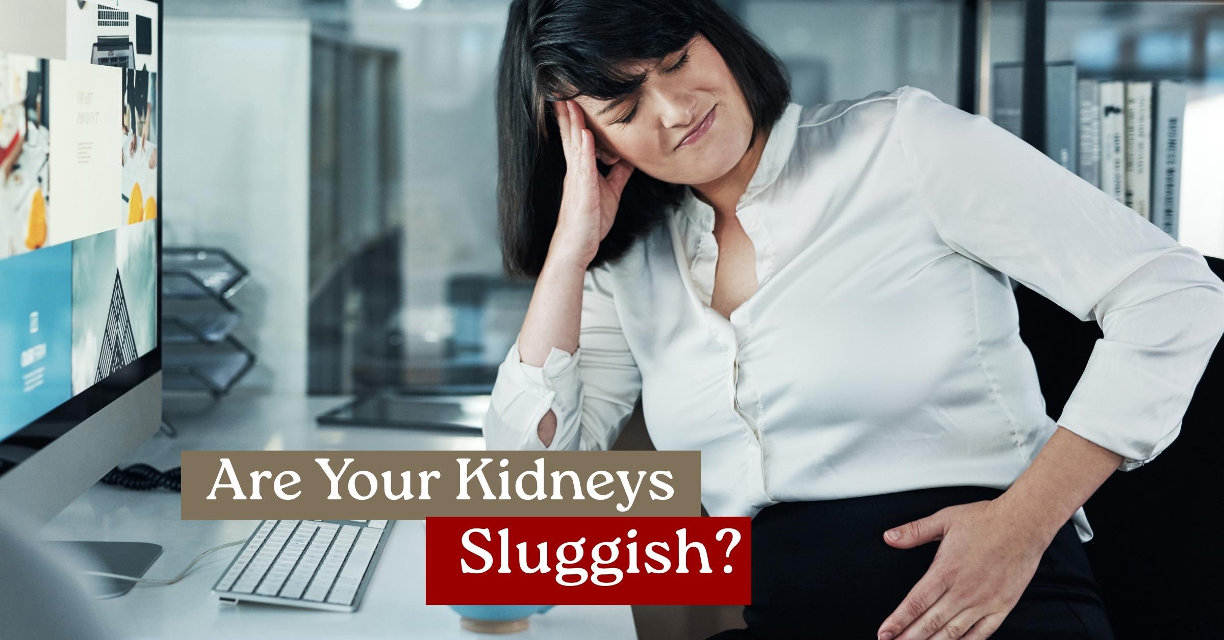 Adrenal Glands Fatigue