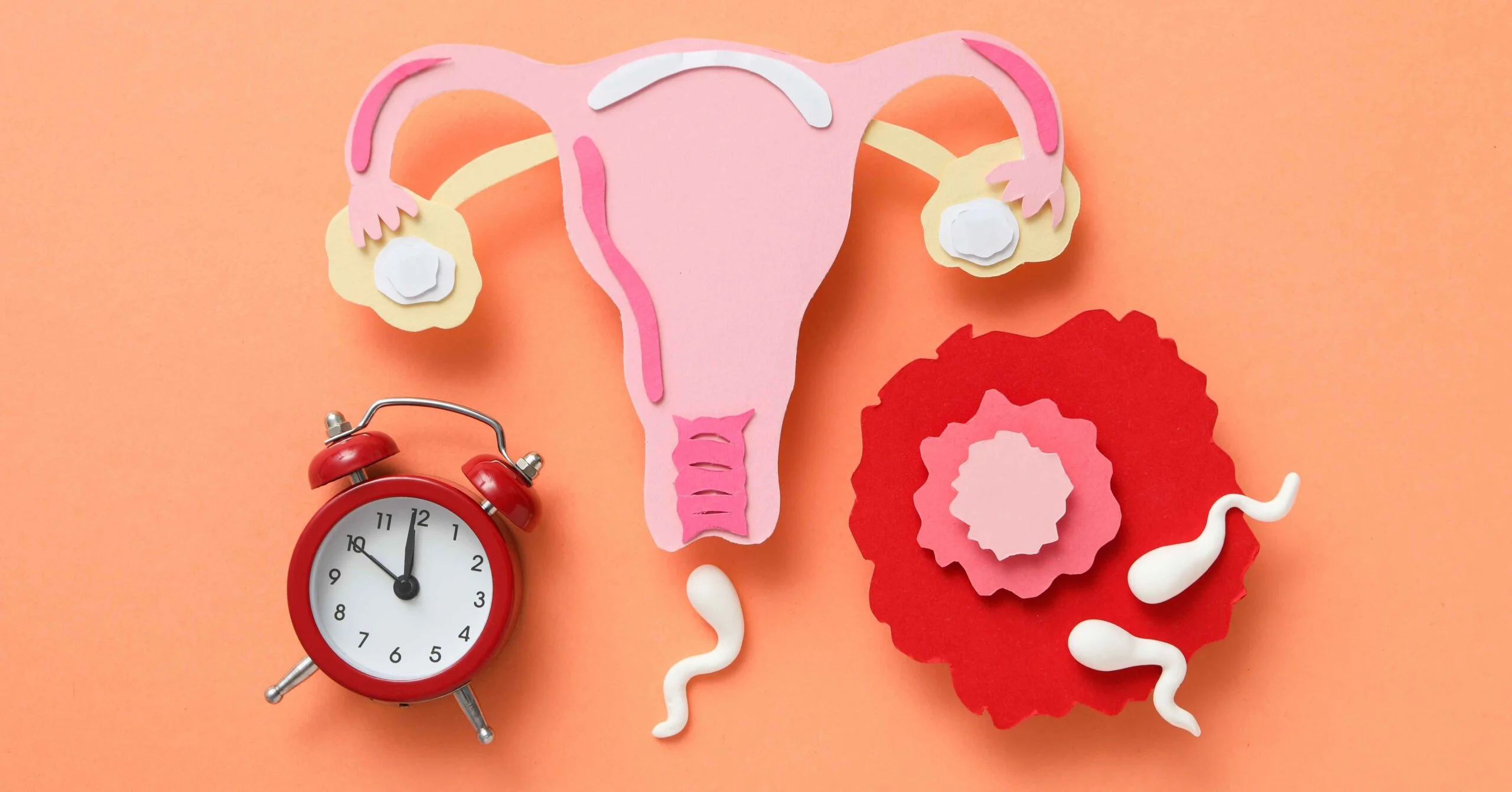 Estrogen Dominance Why How and What to do About it